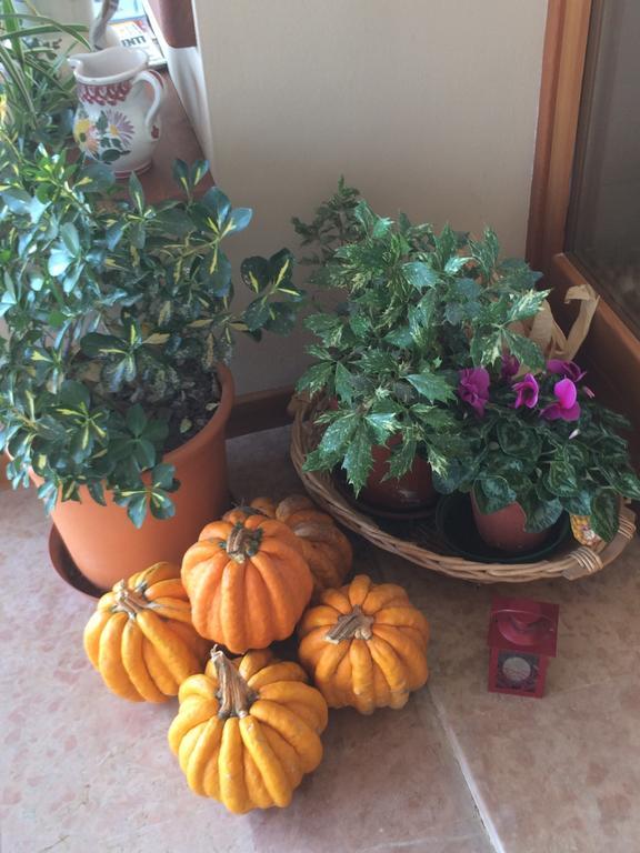 Agriturismo Crocerone Μπασάνο Ντελ Γκράπα Εξωτερικό φωτογραφία